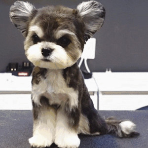 freee性猛玩妓女
